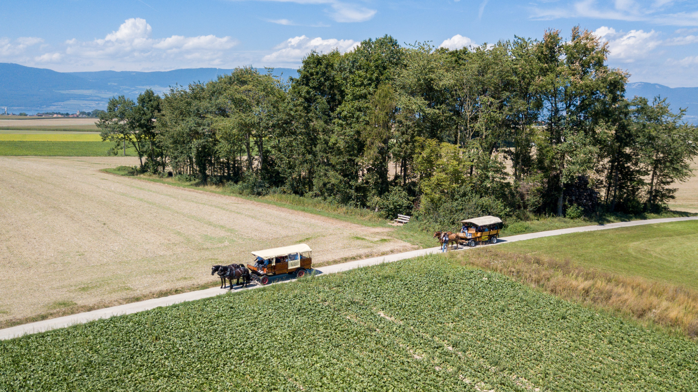 Bien Manger Vaudois (BMV) - Char à fondue