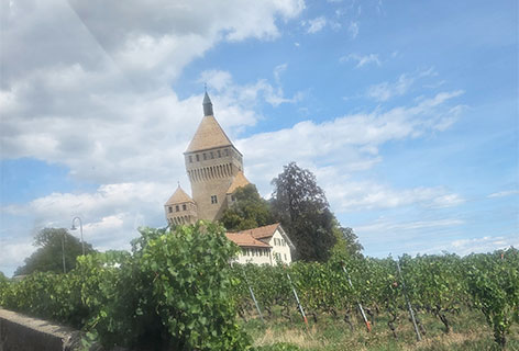 Petit train Morges 2026